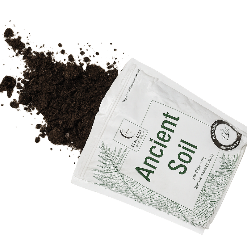 Elm Dirt Ancient Soil
