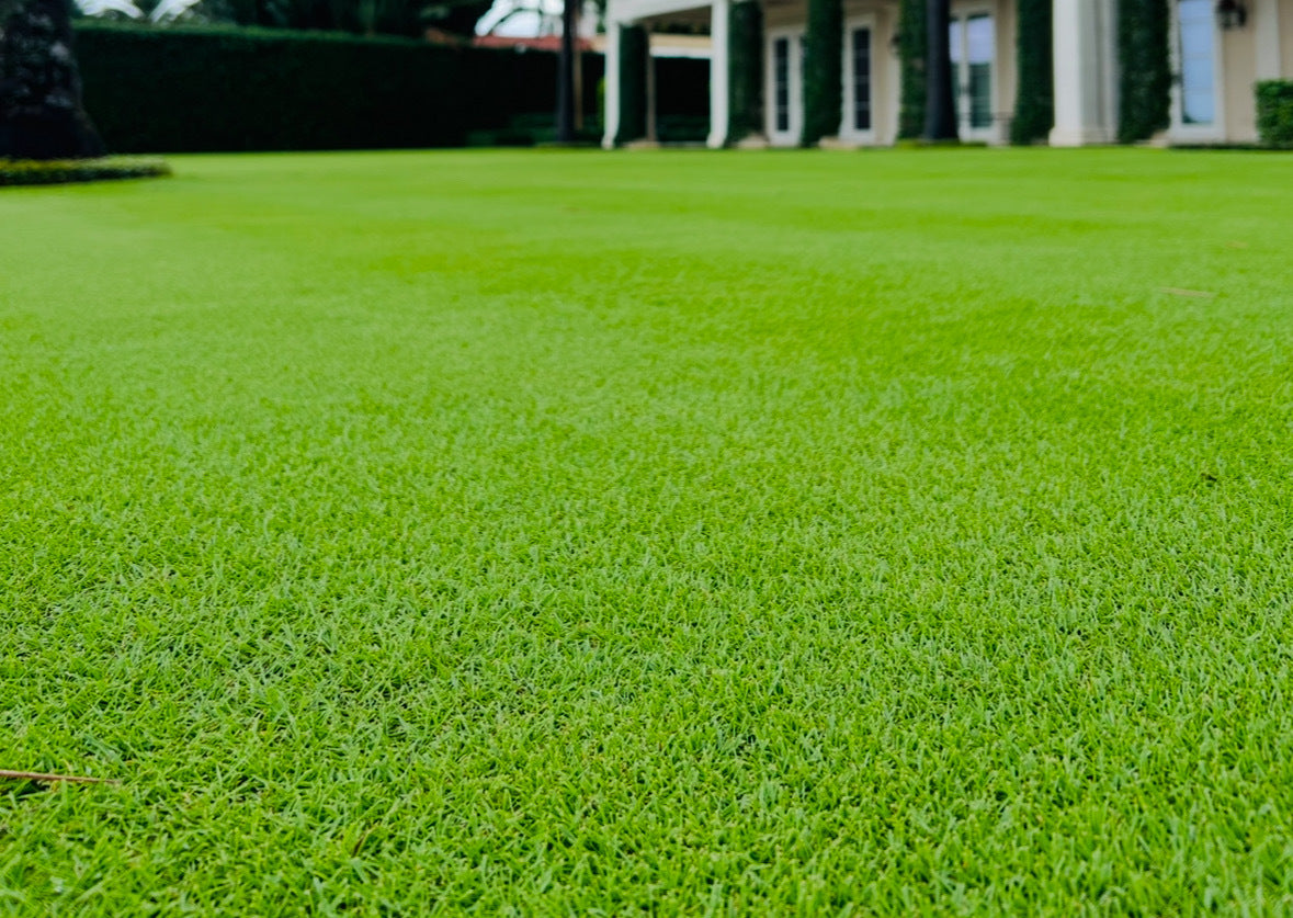 Elm Dirt professional lawn-care application on a residential property