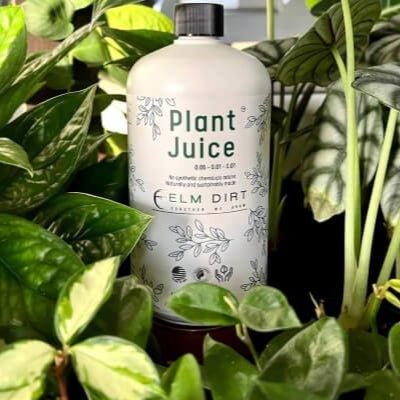 Elm Dirt Plant Juice undergoing biological testing