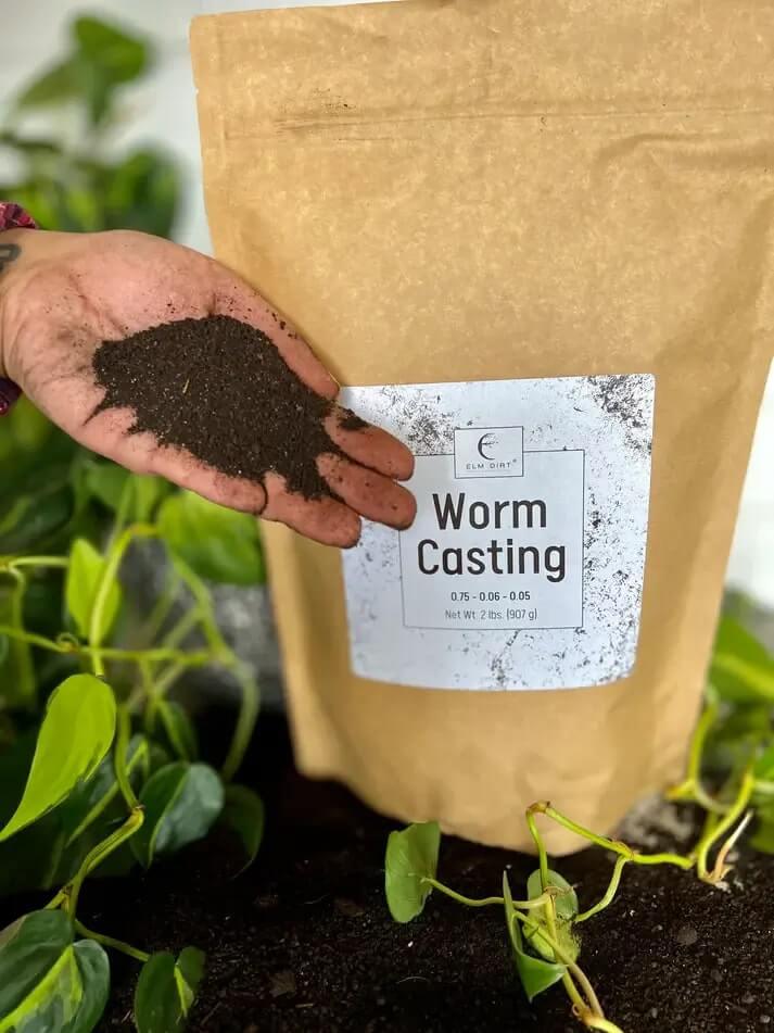 Elm Dirt worm castings